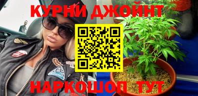 дживик Моздок