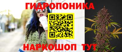 дживик Моздок
