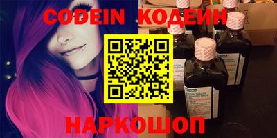 крисы Можга