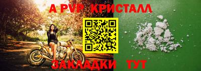 крисы Можга