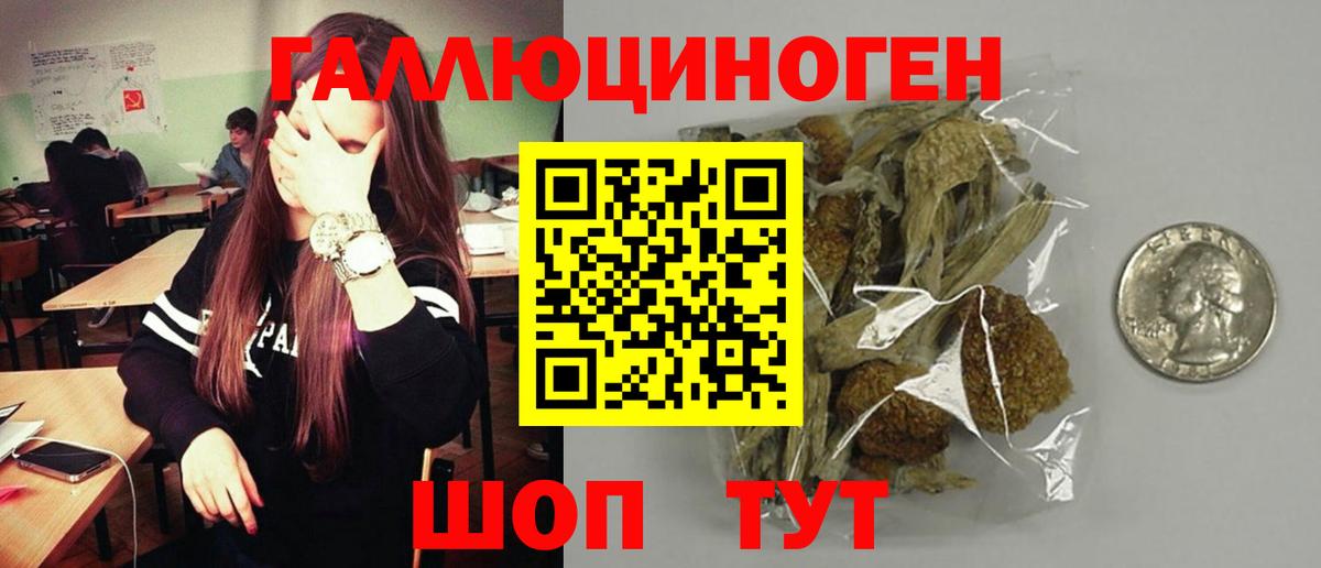 Псилоцибиновые грибы прущие грибы  Вход с VPN  Усть-Илимск 
